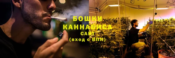 ПСИЛОЦИБИНОВЫЕ ГРИБЫ Михайловск