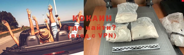 шишки Абинск