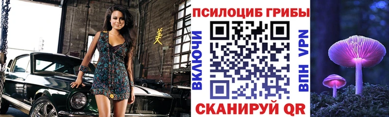 Псилоцибиновые грибы Psilocybine cubensis  Калининград 